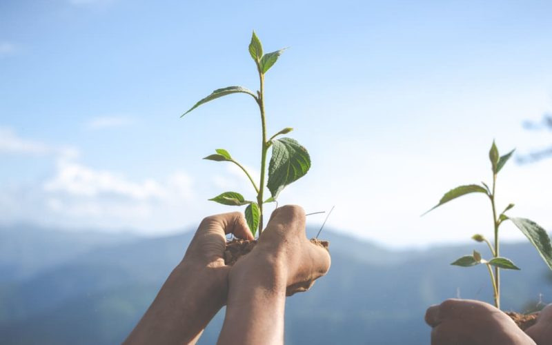 Ficohsa y su papel en la gobernanza responsable y sostenible